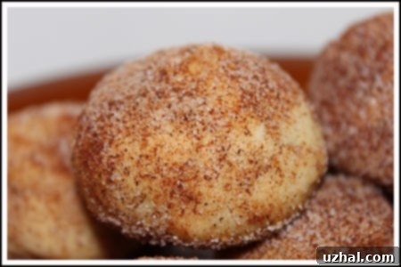 Freshly baked Pan de Polvo cookies, golden brown and perfectly round, arranged on a cooling rack.