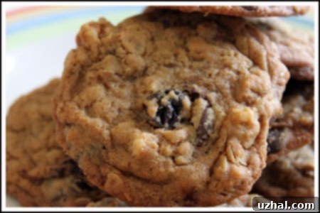 Delicious King Arthur All-Star Oatmeal Cookies with crispy edges, plump fruit, and wholesome oats