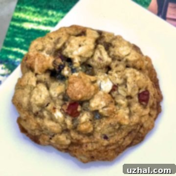 gluten-free oatmeal raisin cookies