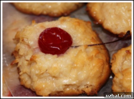 macaroonscookieexchange