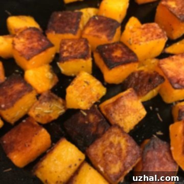 Instant Pot Ace Blender Roasted Butternut Squash Soup
