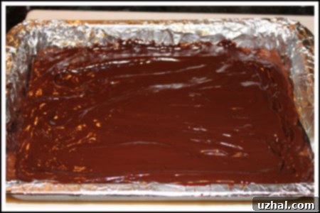 Freshly baked brownies topped with a smooth layer of chocolate ganache, cooling on a rack.
