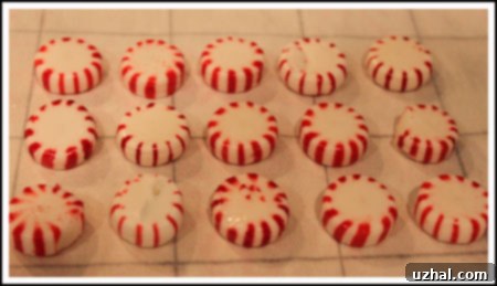 Arranging peppermint candies on a parchment-lined baking sheet before melting.