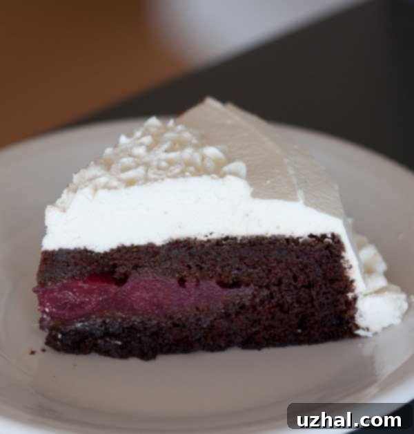 A perfectly sliced Black Magic Forest Cake revealing layers of rich chocolate cake, homemade cherry filling, and fluffy whipped cream.