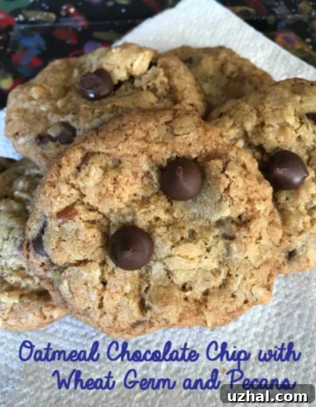 Wholesome Oatmeal Wheat Germ Chocolate Chip Cookies 2 Oatmeal Wheat Germ Chocolate Chip Cookies - close up view of baked cookies on a cooling rack