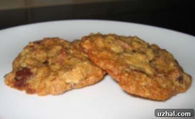 Wholesome Oatmeal Wheat Germ Chocolate Chip Cookies 3 Unbaked cookie dough balls on a baking sheet, ready to be baked