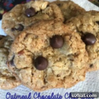 Wholesome Oatmeal Wheat Germ Chocolate Chip Cookies 4 oatmeal chocolate chip