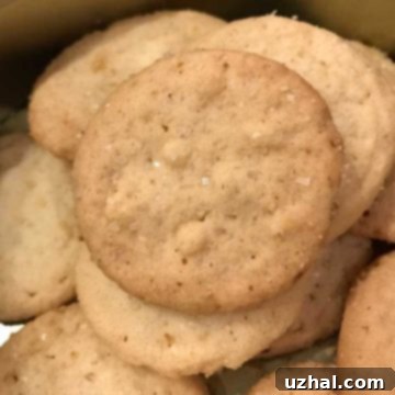 Delicately Crisp Swedish Dream Cookies 2 Swedish Dream Cookies