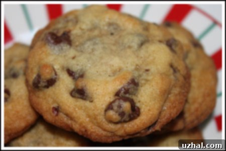 Ultimate Chocolate Chip Cookies