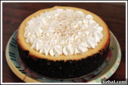 eggnog cheesecake