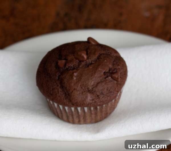 Decadent jumbo chocolate pumpkin muffins with chocolate chips.