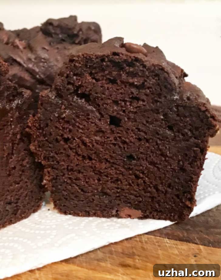 Gluten-Free Chocolate Pumpkin Muffins, fluffy and rich.