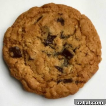 Copycat Chick-fil-A Cookie, golden brown and perfectly chunky.
