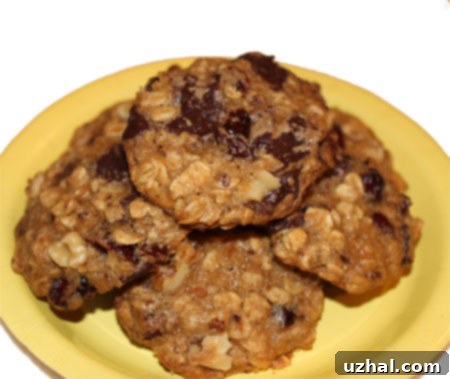 Oatmeal Chocolate Cherry cookies made slightly healthy 