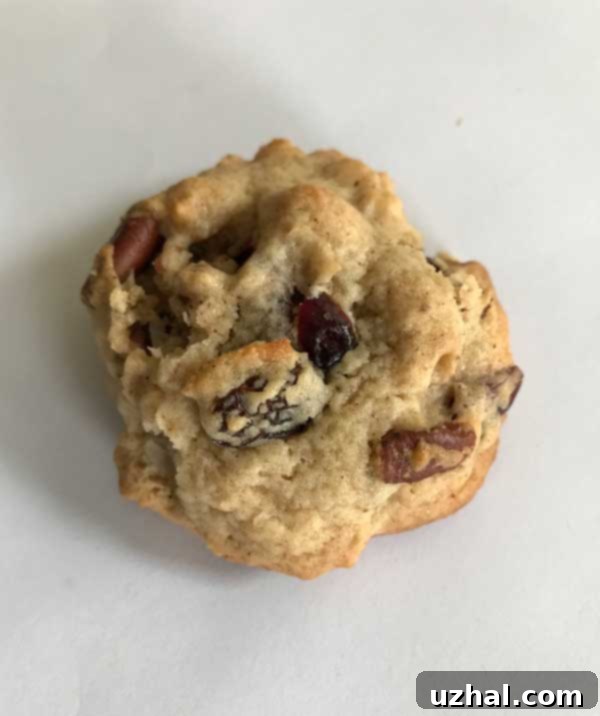 lady Bird Johnson or Mrs. L.B.J.'s Moonrocks from Maida Heatter's Cookies