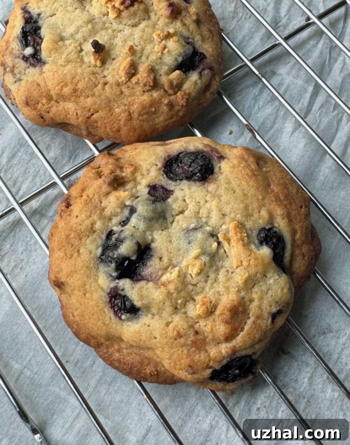 Milk Bar Blueberries and Cream Cookies, golden brown with visible milk crumb and blueberries.
