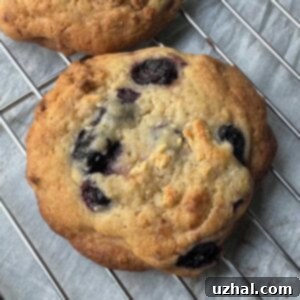 Milk Bar Blueberries and Cream Cookies recipe card image