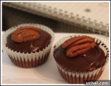 A trio of Espresso Fudge Cups, glistening with Kahlua Glaze and garnished, ready to be served. A perfect tiny indulgence.