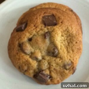 Delicious chocolate chip cookies enhanced with glucose syrup, ready to be enjoyed.