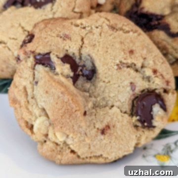 Olive Oil Chocolate Chunk Cookies