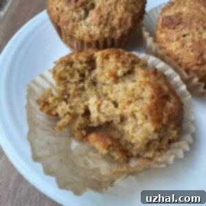Yogurt Bran Muffins