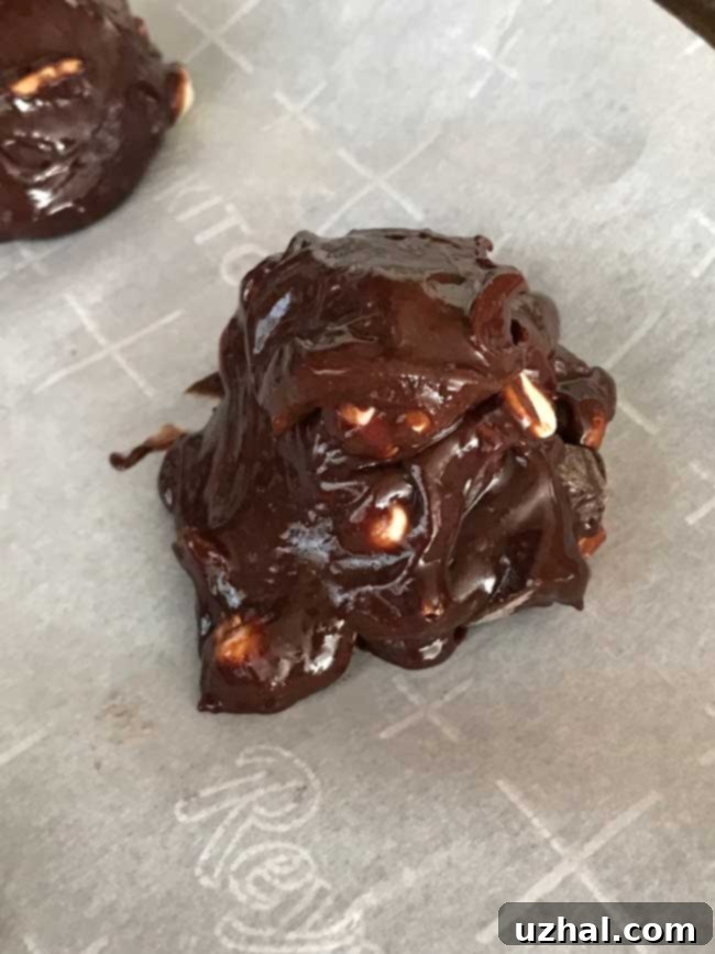 Close-up of a single Chocolate Chubby cookie, showing its fudgy center and cracks