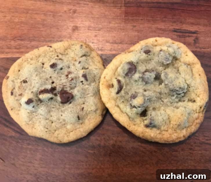 Comparison of a Wegmans chocolate chip cookie (left) and a homemade copycat cookie (right)