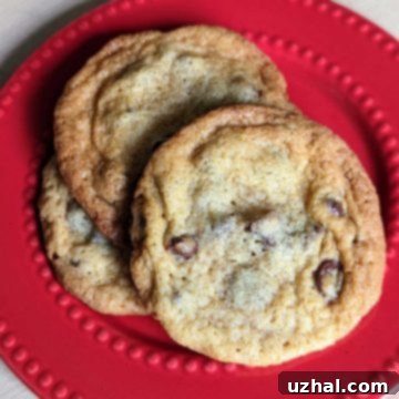 Wegmans Chocolate Chip Copycat Cookies