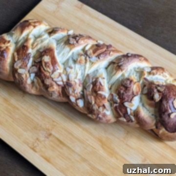Golden-brown Pulla Bread, a delicious Finnish cardamom bread, from Fresh Eggs Daily Cookbook.