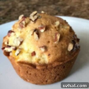 High Rising Plain Sour Cream Muffins from Helen Corbitt