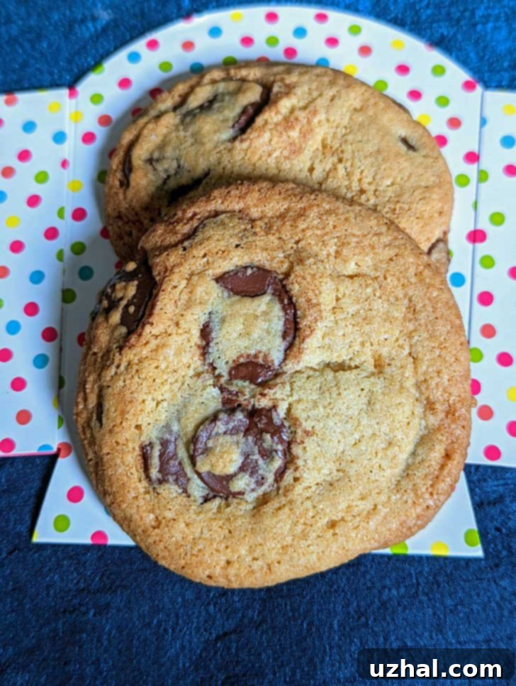 Two chocolate chip cookies made with Cup4Cup flour.