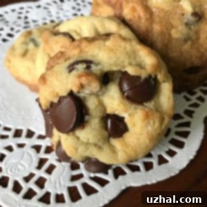 Soft Thick Chocolate Chunk Cookies