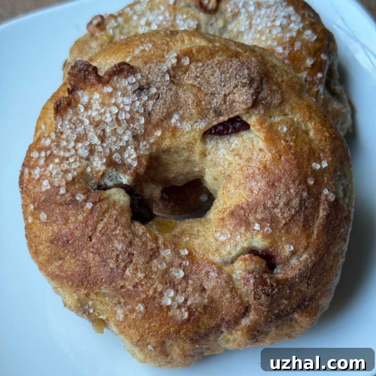 Cranberry Orange Whole Wheat Bagels