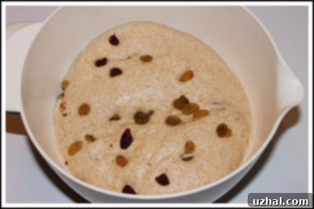 Risen bagel dough