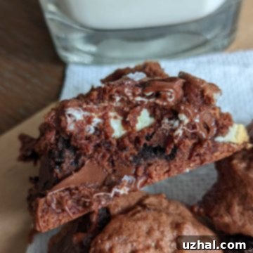 Everything Brownie Cookies