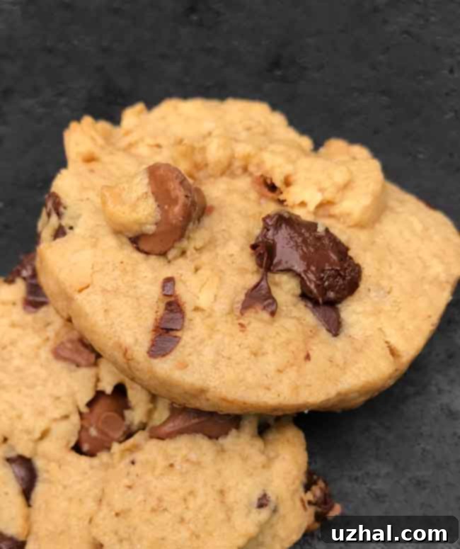 Close-up of baked Freezer Peanut Butter Chocolate Chip Cookies, showing their tender texture.