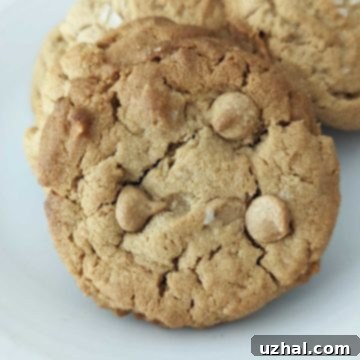 Peanut Butter Powder Delights 2 Gluten-Free Peanut Butter Powder Cookies