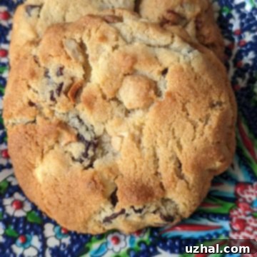 Close-up of a Gluten-Free White Chocolate Cherry Cookie, showcasing its texture and ingredients