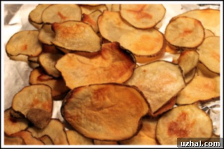 potatochips4