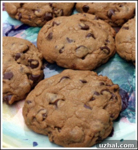 Close-up of a giant Heath cookie, showing chocolate chips and toffee chunks