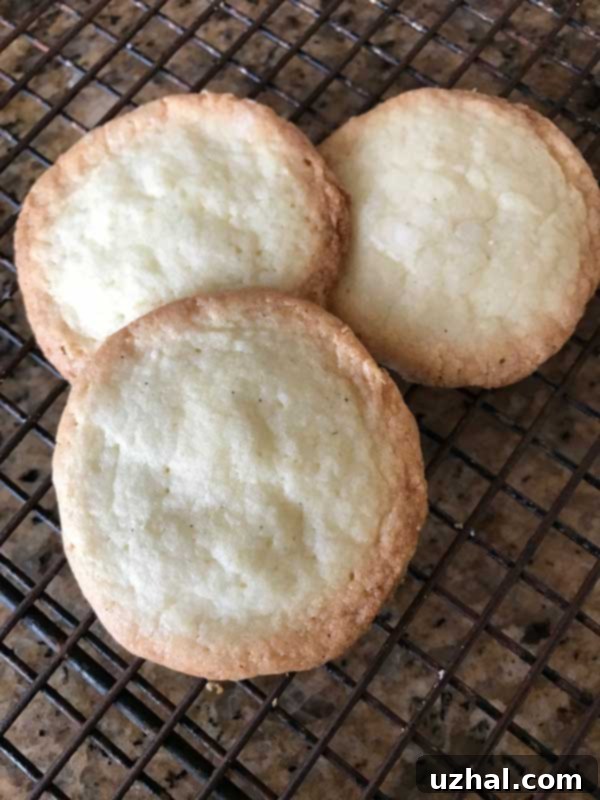 Homemade brown edge wafers, golden and crispy