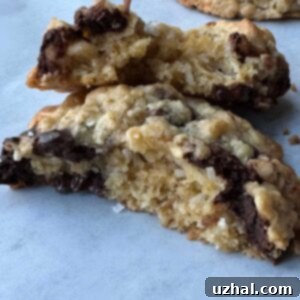 Double Chip Oatmeal Cookies 3 Two Chip Oatmeal Cookies recipe from Lisa Yockelson in Food and Wine Magazine