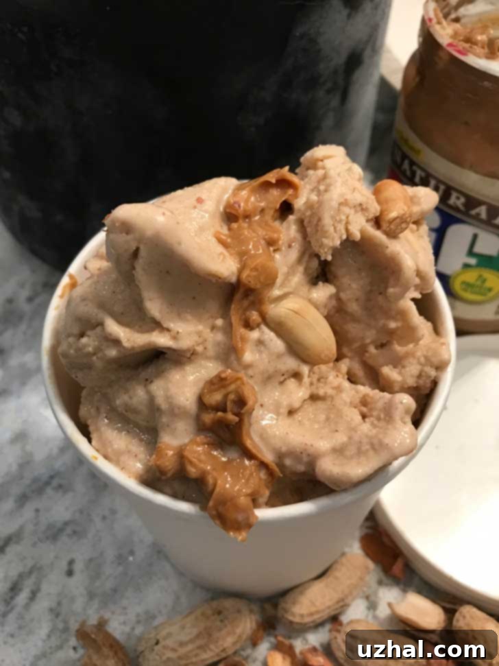 Dairy-Free Oat Milk Peanut Butter Ice Cream