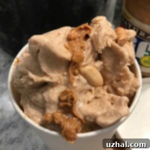 Oat Milk Peanut Butter Ice Cream vegan