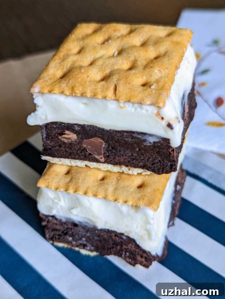 Two Saltine Brownie Ice Cream Sandwiches, showing layers of brownie, ice cream, and toasted saltines.