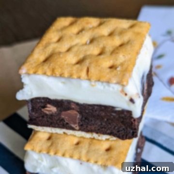 Saltine Brownie Ice Cream Sandwich, perfectly layered and ready to enjoy.
