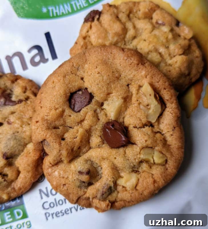 Crispy Potato Chip Cookies