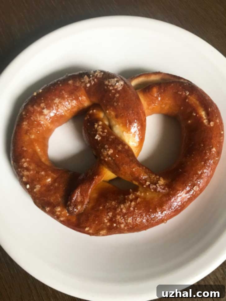 Perfectly baked, shiny pretzel made with milk dough and brushed with egg yolk.