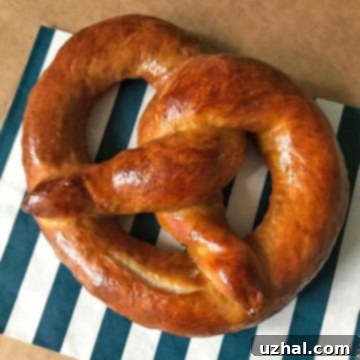 A perfectly baked, golden-brown shiny pretzel, ready to be enjoyed.