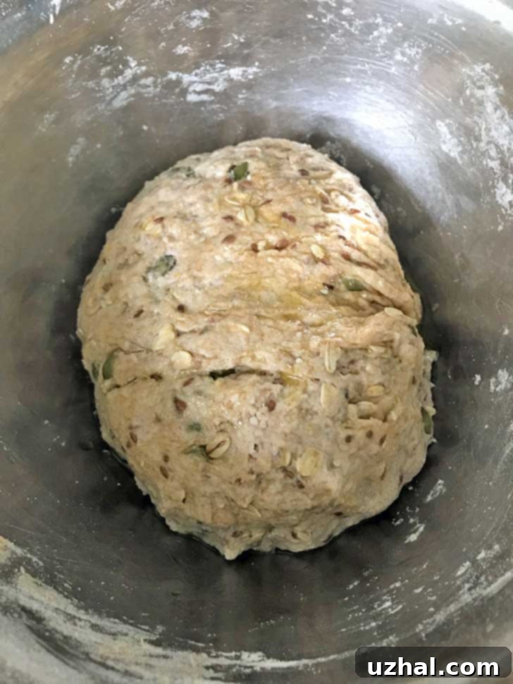Martha Stewart's Seed Bread no-knead dough in a bowl for the 18 hour rise. The dough is bubbly and covered in olive oil.